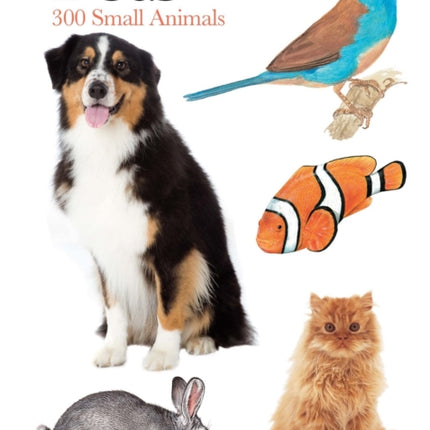 Pets: 300 Small Animals