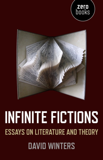 Infinite Fictions  Essays on Literature and Theory