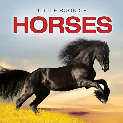 Little Book of Horses