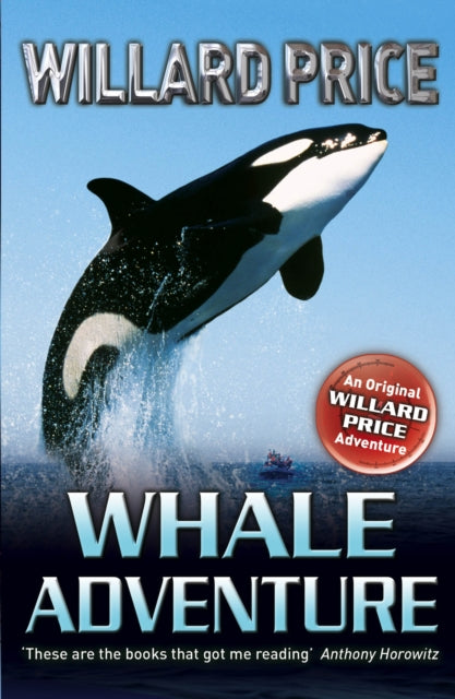 Whale Adventure