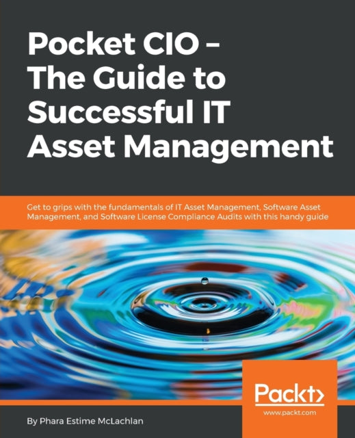 Pocket CIO  The Guide to Successful IT Asset