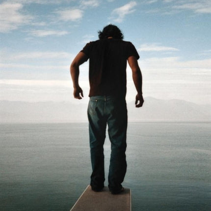 The Diving Board