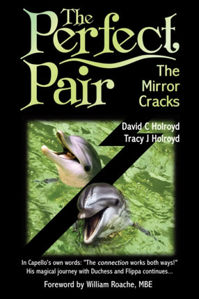 The Perfect Pair The Mirror Cracks
