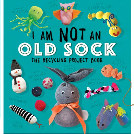 I Am Not An Old Sock  The Recycling Project Book