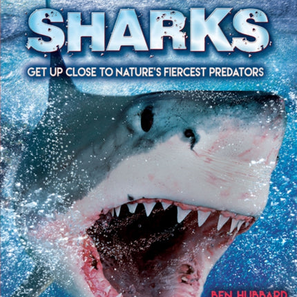 Sharks: Get Up Close to Nature's Fiercest Predators