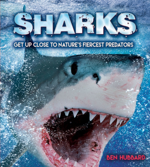 Sharks: Get Up Close to Nature's Fiercest Predators