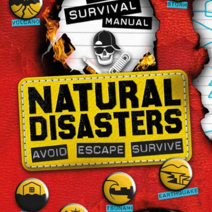 DIY Survival Manual: Natural Disasters: Avoid. Escape. Survive.