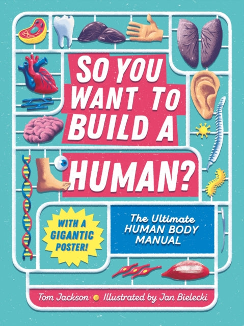 So You Want to Build a Human