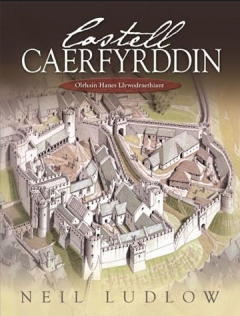 Castell Caerfyrddin: Olrhain Hanes Llywodraethiant