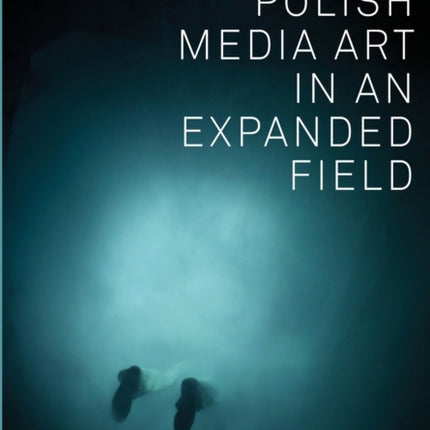 Polish Media Art in an Expanded Field