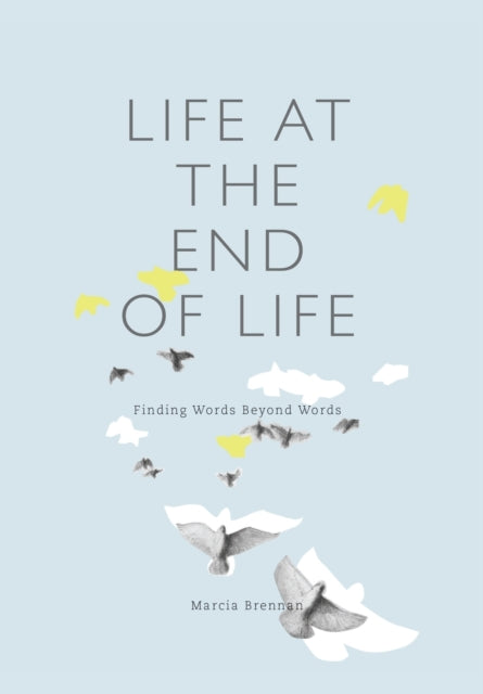 Life at the End of Life: Finding Words Beyond