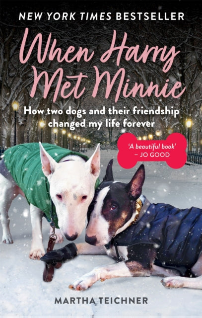 When Harry Met Minnie: An unexpected friendship and the gift of love beyond loss