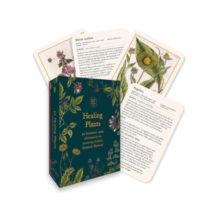 Healing Plants - A Botanical Card Deck: 50 botanical cards illustrated by the pioneering herbalist Elizabeth Blackwell