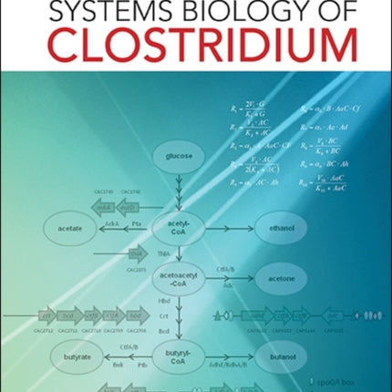Systems Biology Of Clostridium