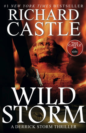 Wild Storm: A Derrick Storm Novel