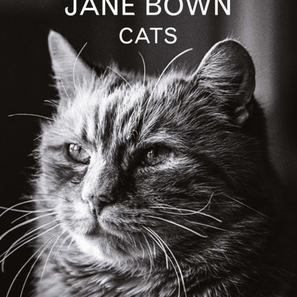 Jane Bown: Cats