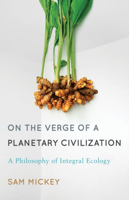 On the Verge of a Planetary Civilization: A