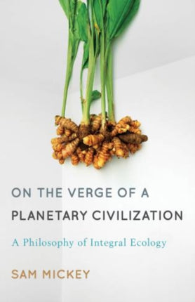 On the Verge of a Planetary Civilization: A