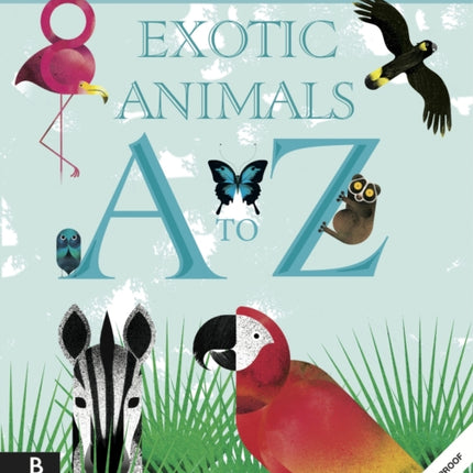 The Curious Explorer's Illustrated Guide to Exotic Animals A to Z