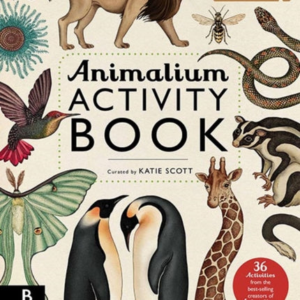 Animalium Activity Book