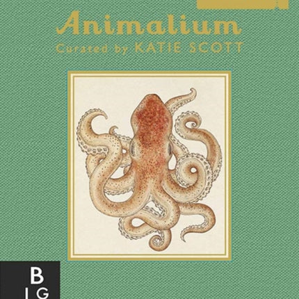 Animalium (Mini Gift Edition)