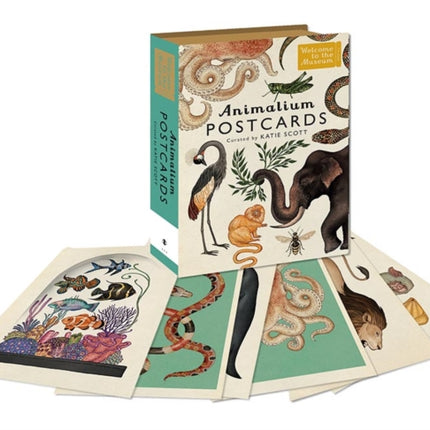 Animalium Postcards