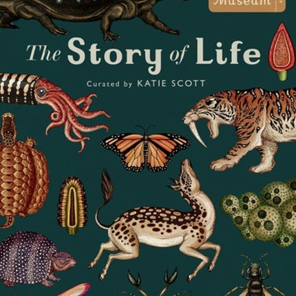 The Story of Life: Evolution (Extended Edition)