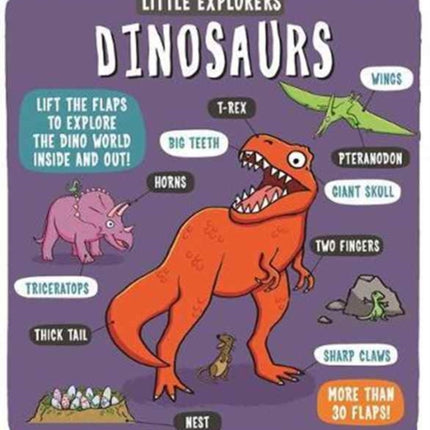 Little Explorers: Dinosaurs