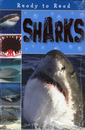 Sharks Ready to Read X5 Pack