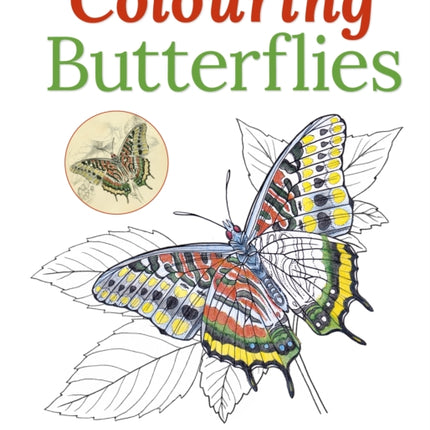 Colouring Butterflies Colouring Books