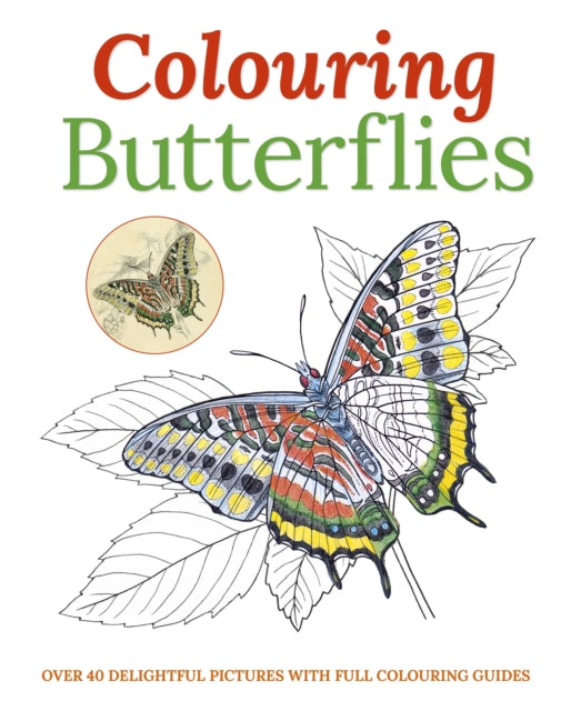 Colouring Butterflies Colouring Books