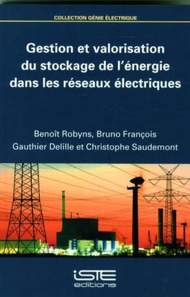 Gestion et valorisation du stockage de l'énergie dans les réseaux électriques