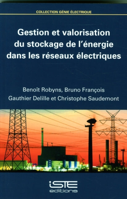 Gestion et valorisation du stockage de l'énergie dans les réseaux électriques