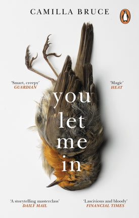 You Let Me In: The acclaimed, unsettling novel of haunted love, revenge and the nature of truth