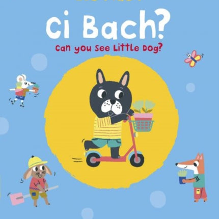 Ble Mae'r Ci Bach? / Can You See the Little Dog?