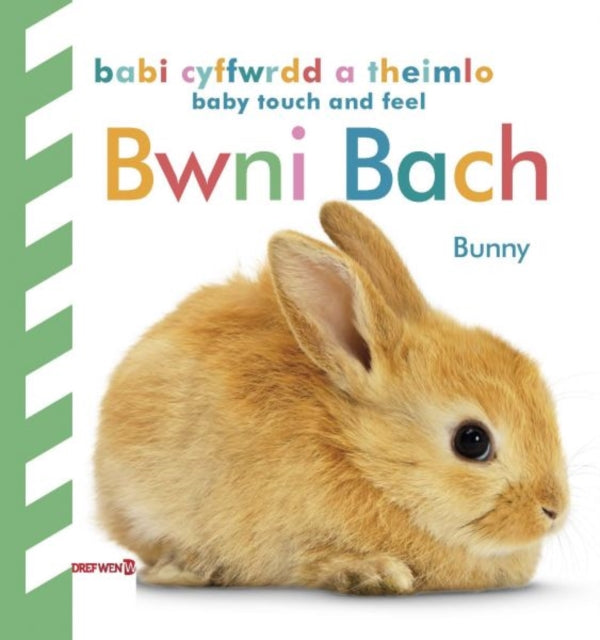 Babi Cyffwrdd a Theimlo: Bwni Bach / Baby Touch and Feel: Bunny