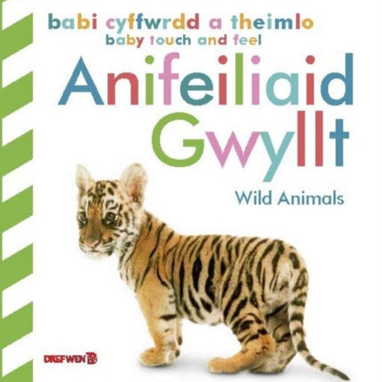 Babi Cyffwrdd a Theimlo: Anifeiliaid Gwyllt / Baby Touch and Feel: Wild Animals