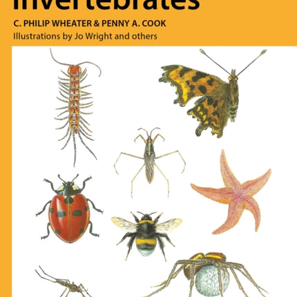 Studying Invertebrates