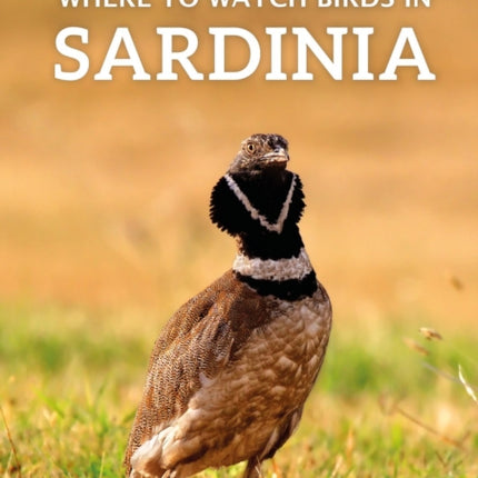 Where to Watch Birds in Sardinia