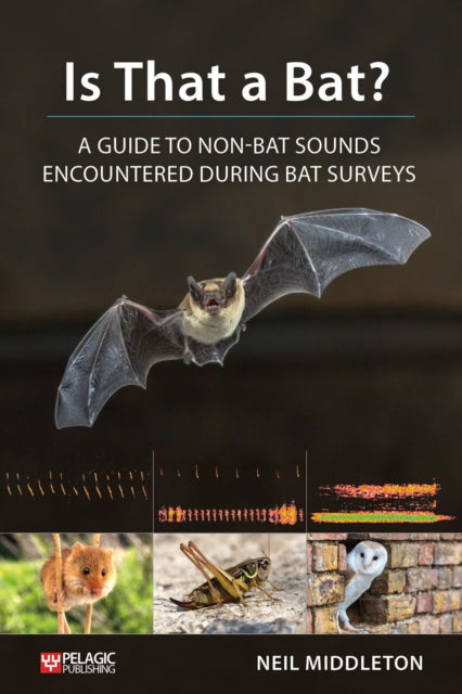 Is That a Bat?: A Guide to Non-Bat Sounds Encountered During Bat Surveys