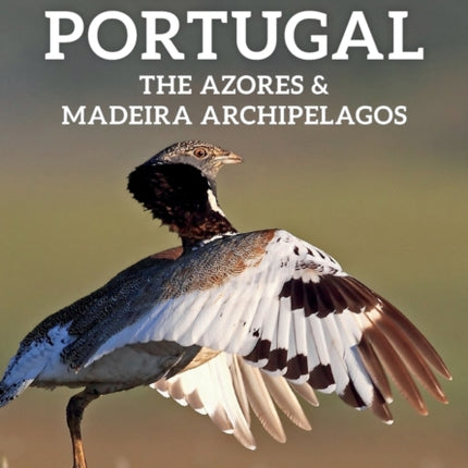 Where to Watch Birds in Portugal, the Azores & Madeira Archipelagos