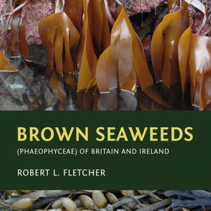 Brown Seaweeds Phaeophyceae of Britain and Ireland