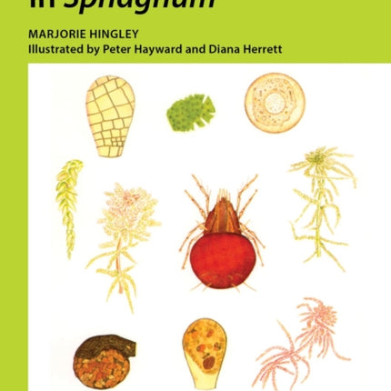 Microscopic life in Sphagnum