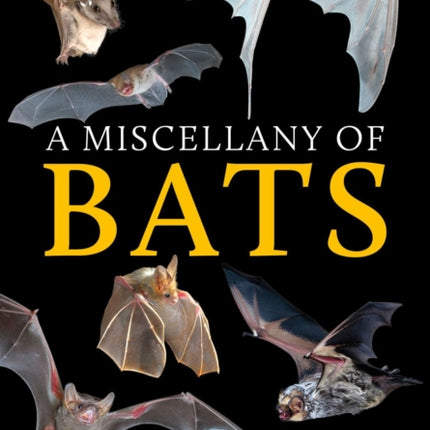 A Miscellany of Bats