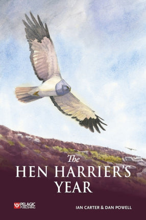 The Hen Harrier's Year