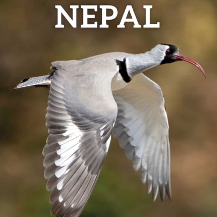 Where to Watch Birds in Nepal