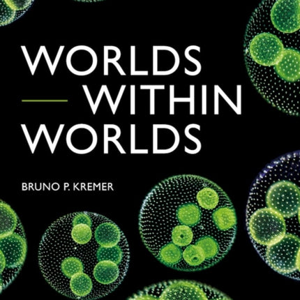 Worlds within Worlds: An Introduction to Microscopes