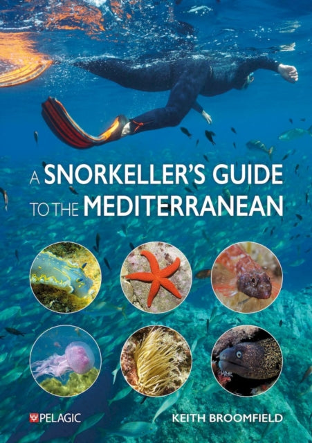 A Snorkellers Guide to the Mediterranean