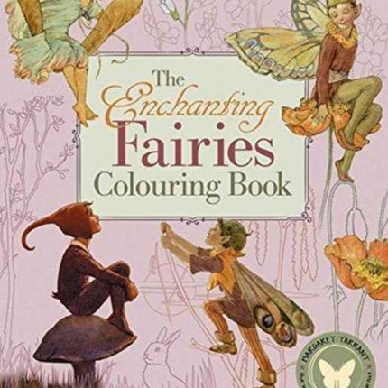 Enchanting Fairies Colouring Book, the