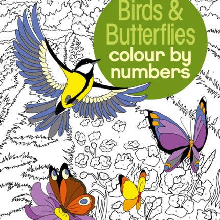 Birds & Butterflies Colour by Numbers